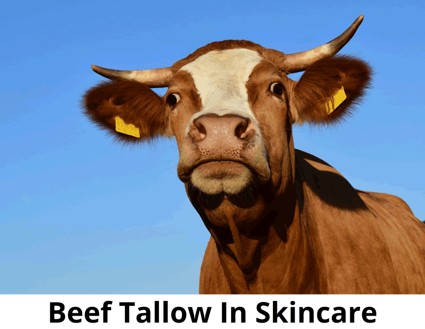 Beef Tallow Skincare: Master Esthetician, Trina Renea Reveals the Hidden Truth